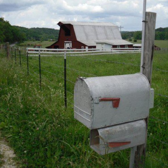 Meet your Posher, Nikki - Picture 1 of 1